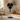 16” Pedestal Floor Fan – Black Adjustable Cooling Fan - Magasins Hart | Hart Stores