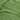 Red Heart Soft Yarn Guacamole - Magasins Hart | Hart Stores