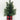 Xmas Pine Tree in Plaid Fabric Base Cup - Magasins Hart | Hart Stores