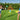 Bestway - Flying Fun Yard Game - Magasins Hart | Hart Stores