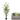 Artificial Palm Tree Plant | 150 cm - Magasins Hart | Hart Stores