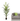 Artificial Palm Tree Plant | 150 cm - Magasins Hart | Hart Stores