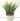 Artificial Green Plant in Cement Pot | Wood Look 12 x 24 cm - Magasins Hart | Hart Stores