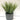 Artificial Greens Potted Plant | Diamond Pattern 13 x 25 cm - Magasins Hart | Hart Stores