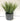 Artificial Greens Potted Plant | Diamond Pattern 13 x 25 cm - Magasins Hart | Hart Stores