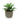 Succulent In Grey Pot - Magasins Hart | Hart Stores