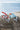 Bestway® Crusader™ Kids 7+ Snorkel Mask - Magasins Hart | Hart Stores