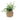 Artificial Weave Basket Plants - Magasins Hart | Hart Stores