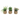 Artificial Weave Basket Plants - Magasins Hart | Hart Stores