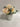 Rose Flower In Ceramic Pot - Magasins Hart | Hart Stores