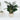 Plant In Chevron Cement Pot 15*46 - Magasins Hart | Hart Stores