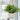 Fern White Ceramic Pot W/rope - Magasins Hart | Hart Stores