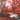 Lauren Taylor - Autumn Scene Water Printed Canvas - Magasins Hart | Hart Stores