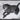 LAUREN TAYLOR - Animal canvas 62X92X4 CM - Magasins Hart | Hart Stores