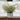 Artificial Fern in White Cement Pot - Magasins Hart | Hart Stores