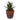 Lauren Taylor - Artificial Succulents in Clay & White Footed Pots - Magasins Hart | Hart Stores