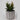 Lauren Taylor - Artificial Succulents in Grey Cement Pots 7" - Magasins Hart | Hart Stores