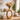 Natural Wood Decorative Bud Vase – 20 x 6 x 45 cm - Magasins Hart | Hart Stores