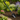 Telescopic Wide Garden Shovel – Adjustable Hand Tool for Digging and Planting - Magasins Hart | Hart Stores