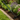 Telescopic Garden Hoe – Adjustable Single-Purpose Cultivating Tool - Magasins Hart | Hart Stores