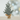 Xmas Pine Tree In Burlap 21 - Magasins Hart | Hart Stores