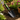 Wide Garden Shovel with Two-Tone Handle – Hand Trowel for Planting and Digging - Magasins Hart | Hart Stores