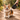 Paws & Whiskers - Retractable 3 Meters Dog Leash - Magasins Hart | Hart Stores