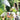 Expandable garden hose with 10 function Spray Gun - Magasins Hart | Hart Stores