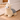 Door Stopper Llama Cream 10in Height 21x15x26cm - Magasins Hart | Hart Stores