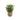 Eucalyptus Grass Basket - Magasins Hart | Hart Stores