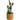 Artificial Cactus Plant in Decorative Ribbed Pot