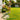 75 Ft. Expandable Garden Hose With 10 Function Spray Gun - Magasins Hart | Hart Stores