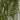 Artificial Hanging Pearl String in Ceramic Pot - Magasins Hart | Hart Stores