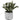 Artificial Lamb's Ear in White Marble Ceramic Pot - Magasins Hart | Hart Stores