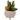 Artificial Succulent Plants in White Ceramic Footed Pot - Magasins Hart | Hart Stores