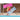 Bestway® Transparent Floating Pool Mat 1.83 m x 76 cm - Magasins Hart | Hart Stores
