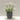 Lavender In Black/grey Cement Pot 16*24 - Magasins Hart | Hart Stores