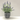 Lavender In Black/grey Cement Pot 16*24 - Magasins Hart | Hart Stores
