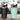 Elite - 600ML Double Layer Vacuum Cup - Magasins Hart | Hart Stores