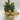 Xmas Mini Pine Tree | 5 LED 30 cm - Magasins Hart | Hart Stores