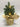 Xmas Mini Pine Tree | 5 LED 30 cm - Magasins Hart | Hart Stores
