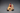 XMAS Santa & Snowman in moped with Tree - Magasins Hart | Hart Stores