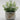 Lauren Taylor - Artificial Floral arrangements in a Pot - Magasins Hart | Hart Stores