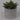 Lauren Taylor - Artificial Stout Succulents in Grey Cement Pot - Magasins Hart | Hart Stores