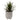 Lauren Taylor - Artificial Succulents in Clay & White Footed Pots - Magasins Hart | Hart Stores