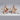 Lauren Taylor - Wooden Star - Magasins Hart | Hart Stores