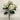 5 Head Magnolia Flower Pick 45.5cm - Magasins Hart | Hart Stores