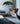 Animal Mink Throw - Magasins Hart | Hart Stores