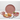 24 pcs Dinnerware set - Magasins Hart | Hart Stores