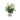 Plant In Geo Cement Pot White/yellow 24*33 - Magasins Hart | Hart Stores